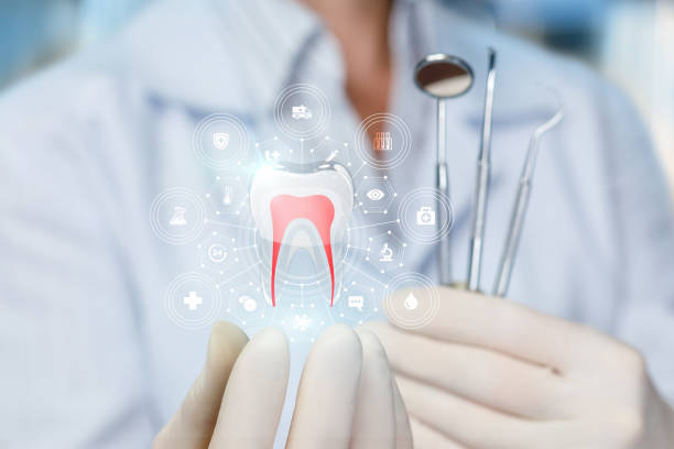 Reliable Elmwood Park, IL Holistic Dental Care Services Solutions